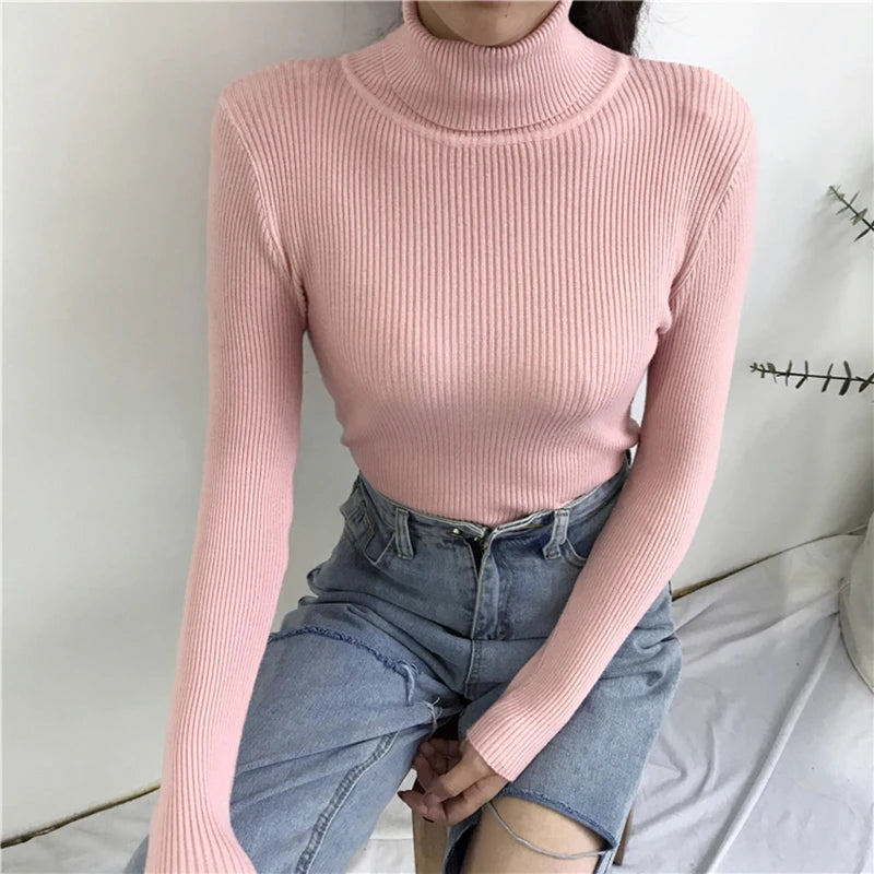 Women's Slim Fit Turtleneck Sweater
