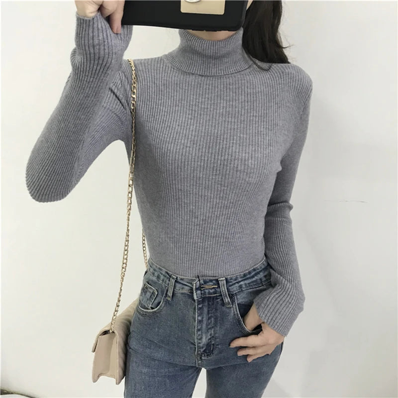 Women's Slim Fit Turtleneck Sweater