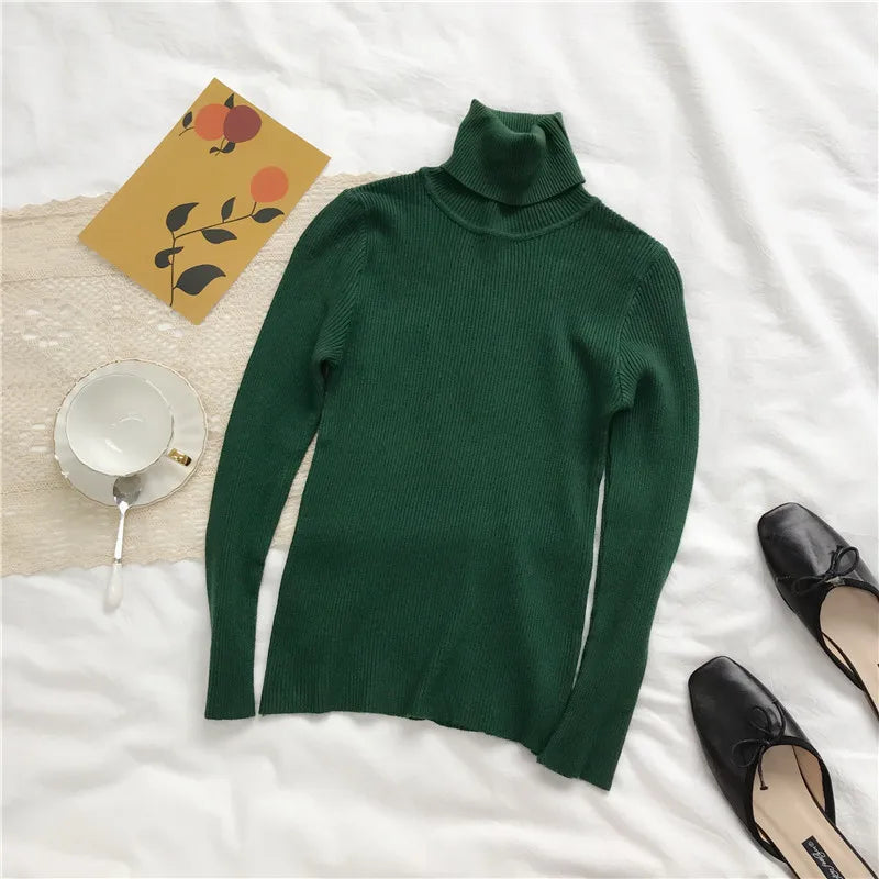 Women's Slim Fit Turtleneck Sweater