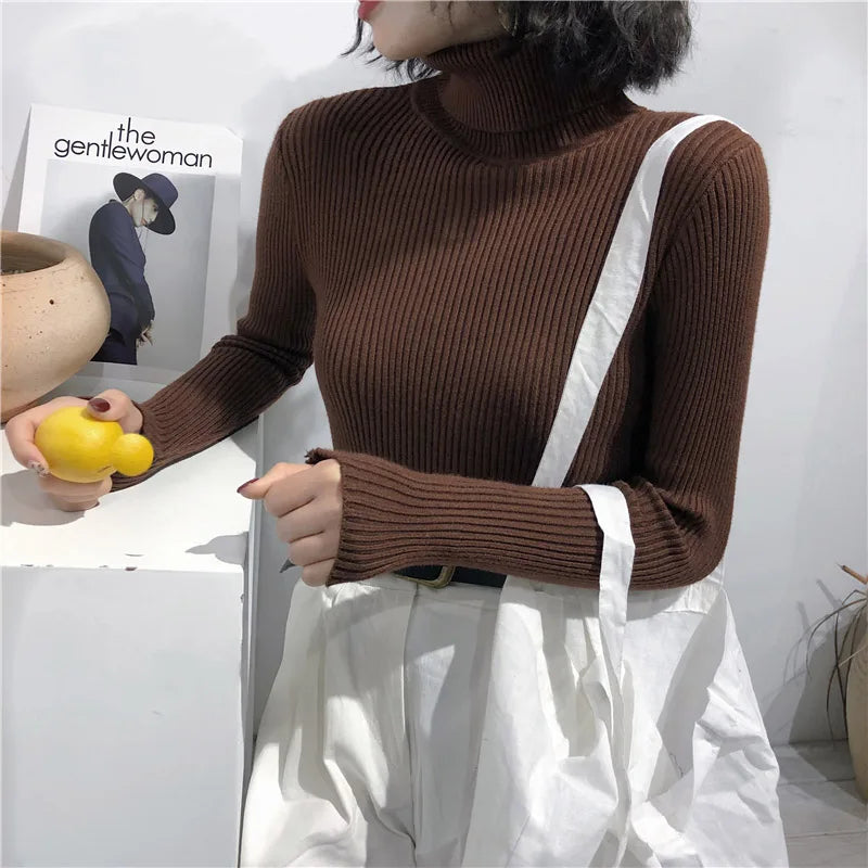 Women's Slim Fit Turtleneck Sweater