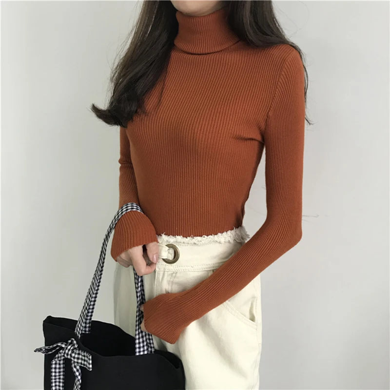 Women's Slim Fit Turtleneck Sweater