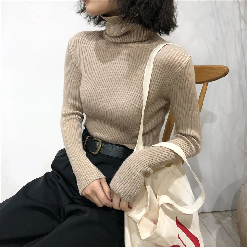 Women's Slim Fit Turtleneck Sweater