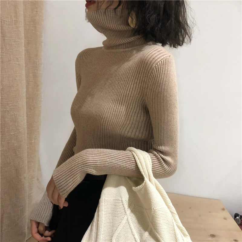 Women's Slim Fit Turtleneck Sweater