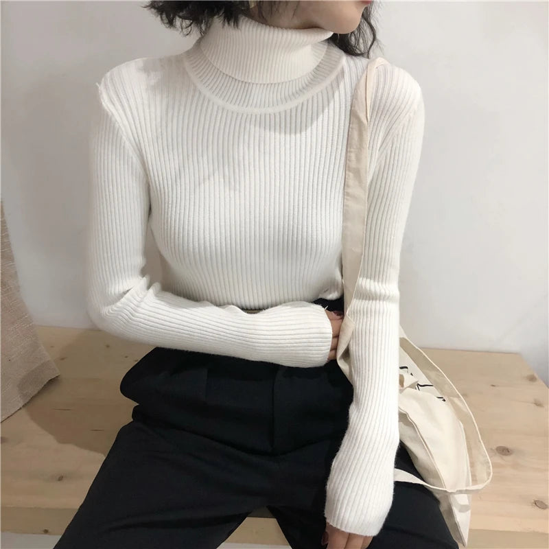 Women's Slim Fit Turtleneck Sweater
