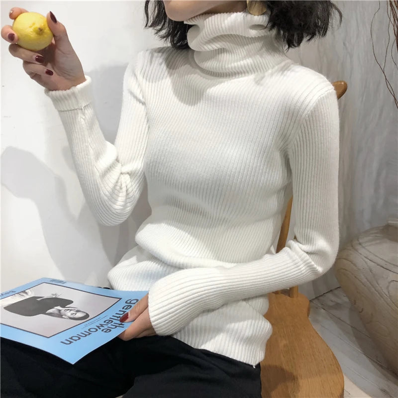 Women's Slim Fit Turtleneck Sweater