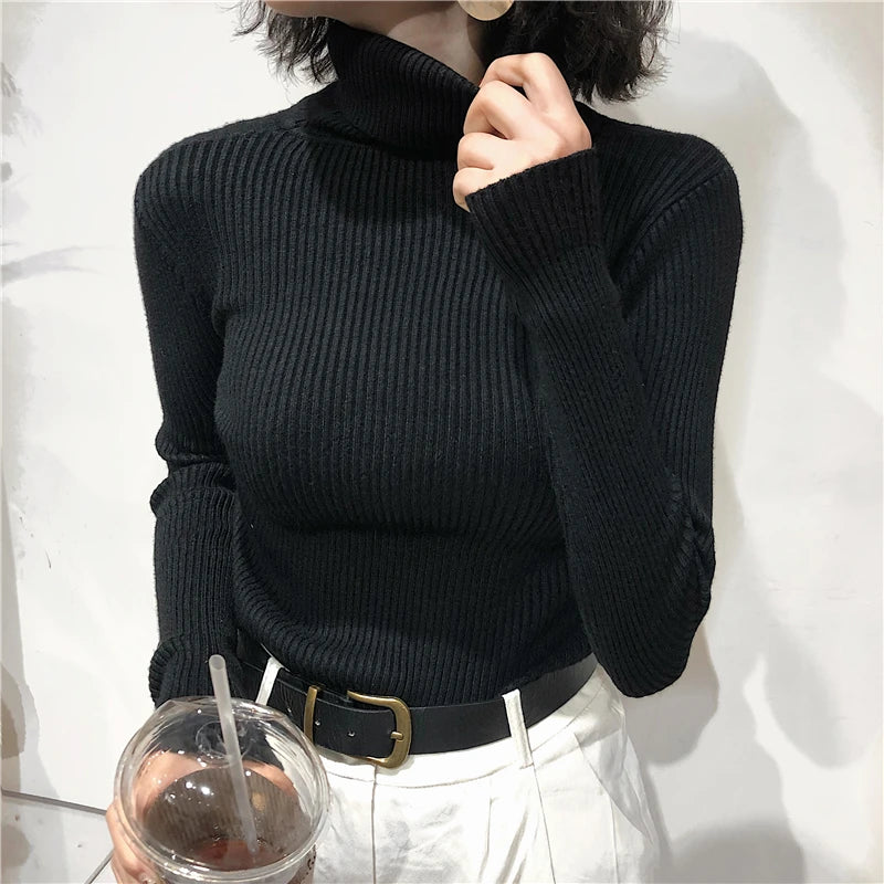 Women's Slim Fit Turtleneck Sweater