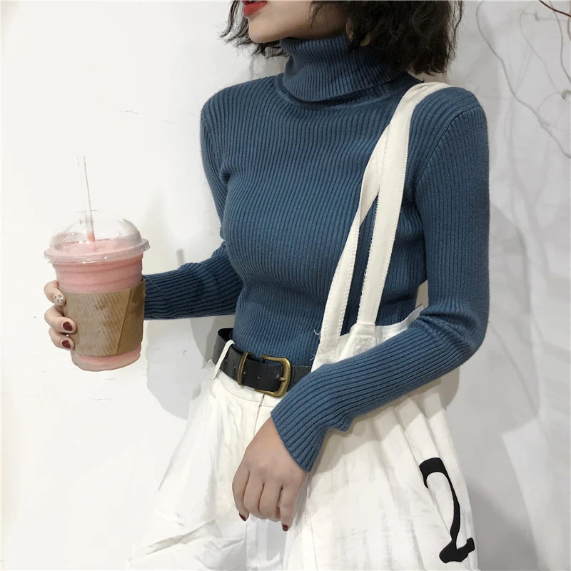Women's Slim Fit Turtleneck Sweater