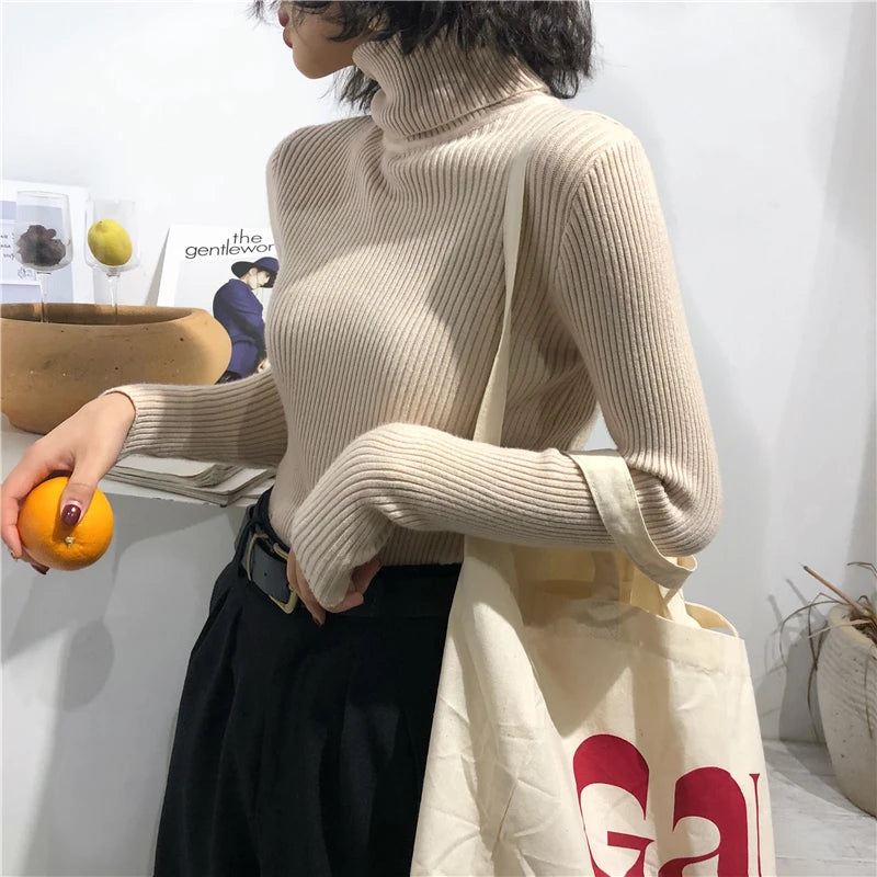 Women's Slim Fit Turtleneck Sweater