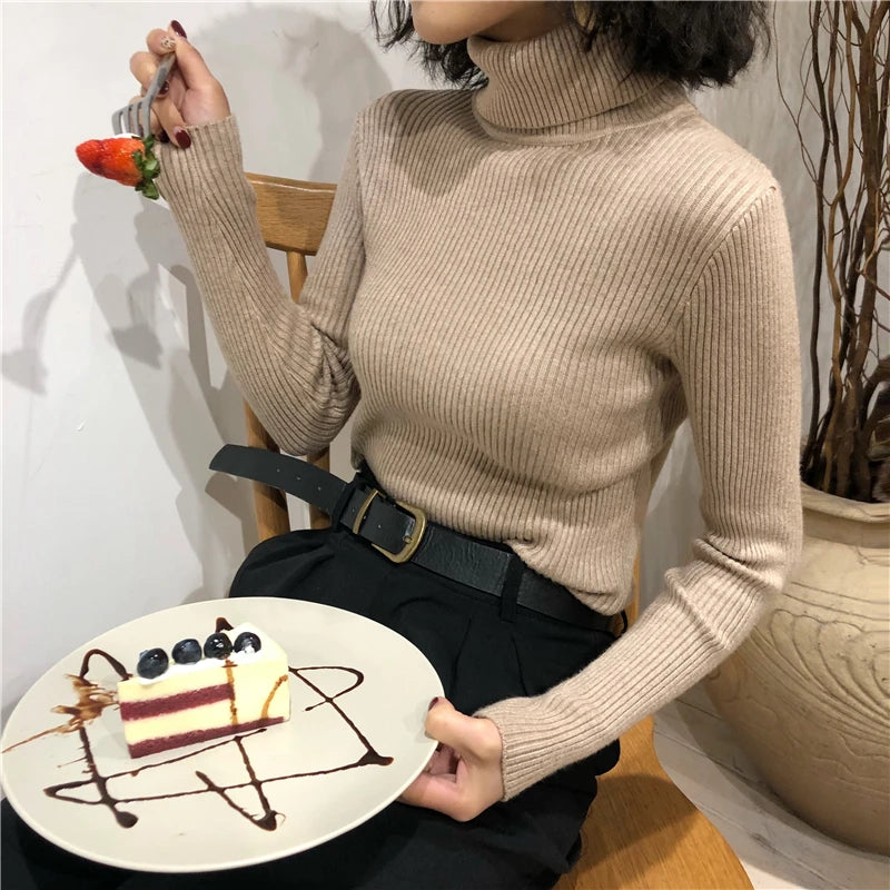 Women's Slim Fit Turtleneck Sweater