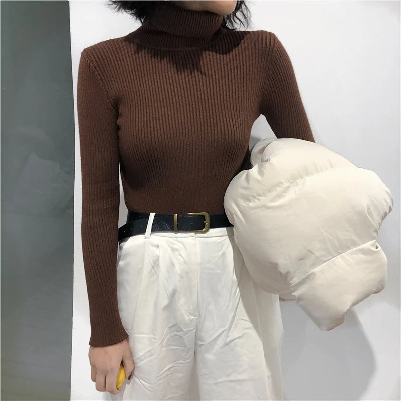 Women's Slim Fit Turtleneck Sweater