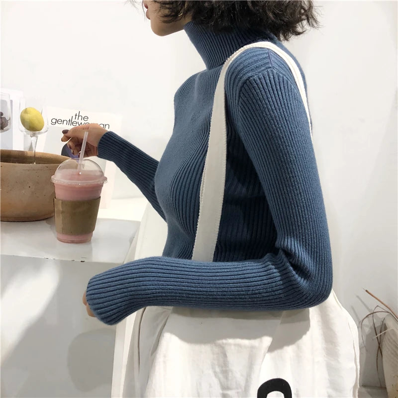 Women's Slim Fit Turtleneck Sweater