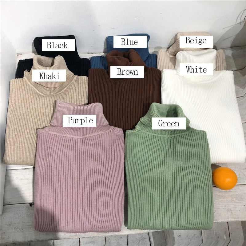 Women's Slim Fit Turtleneck Sweater