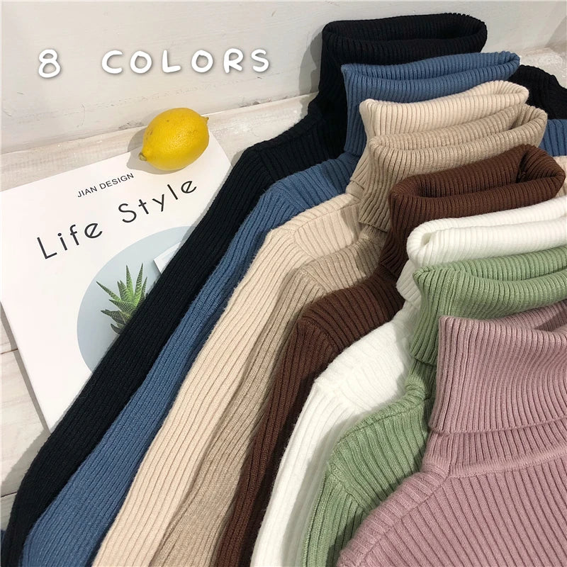 Women's Slim Fit Turtleneck Sweater