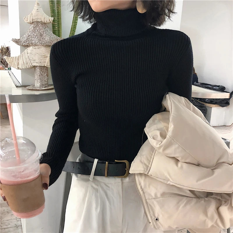Women's Slim Fit Turtleneck Sweater