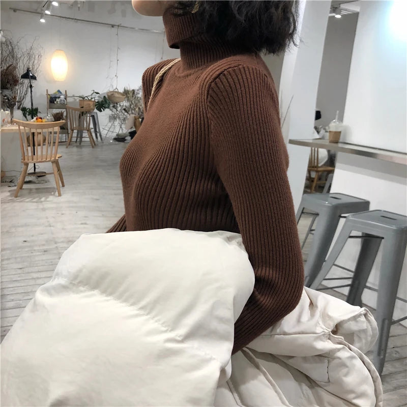 Women's Slim Fit Turtleneck Sweater