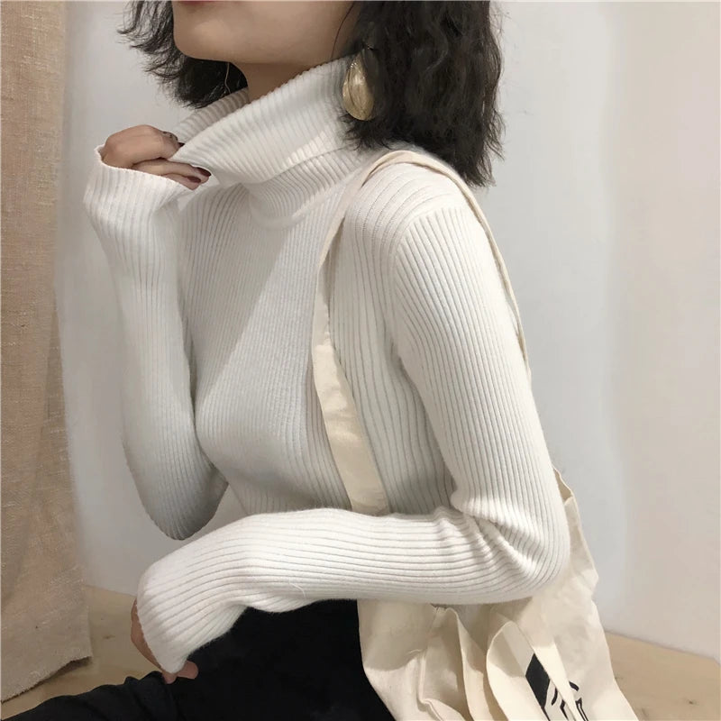 Women's Slim Fit Turtleneck Sweater