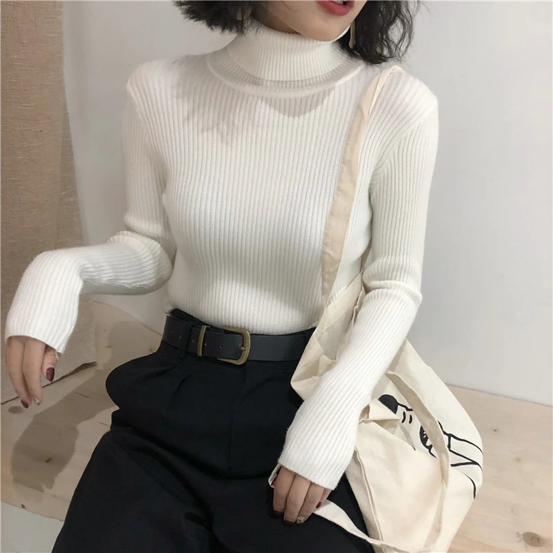Women's Slim Fit Turtleneck Sweater