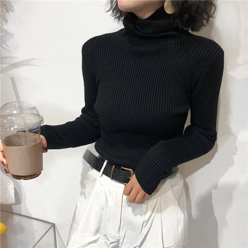 Women's Slim Fit Turtleneck Sweater
