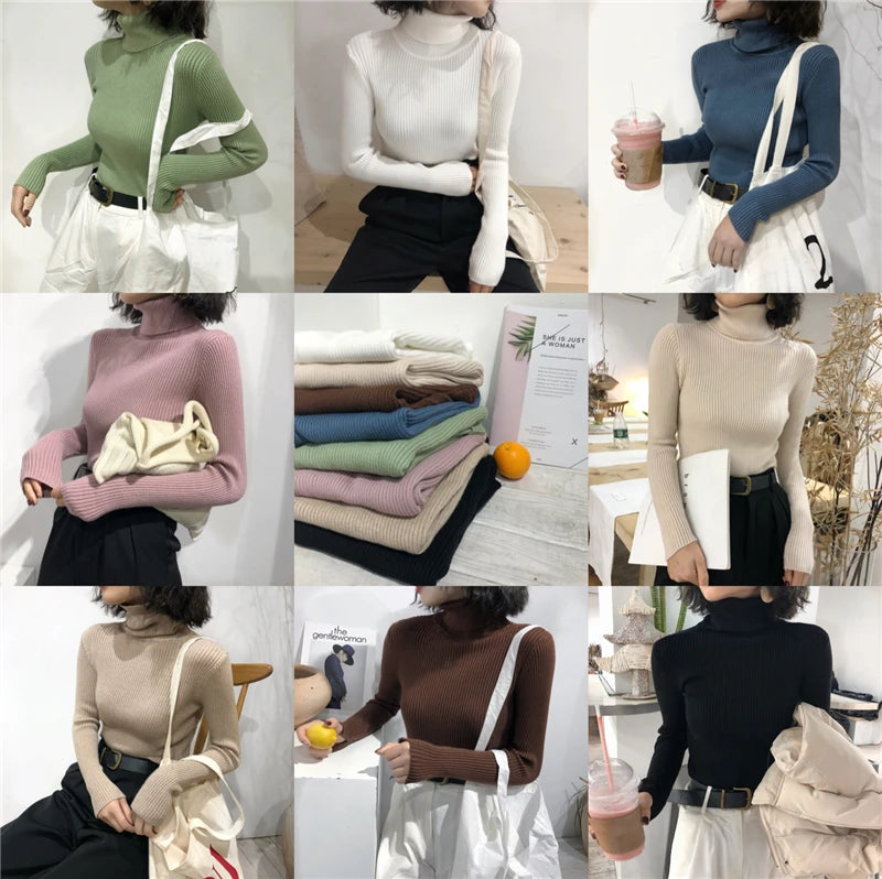 Women's Slim Fit Turtleneck Sweater