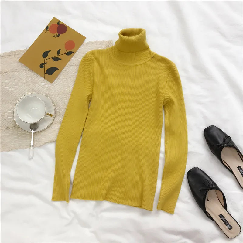 Women's Slim Fit Turtleneck Sweater