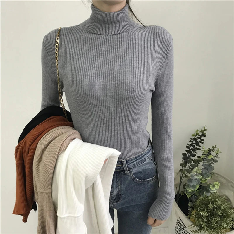 Women's Slim Fit Turtleneck Sweater