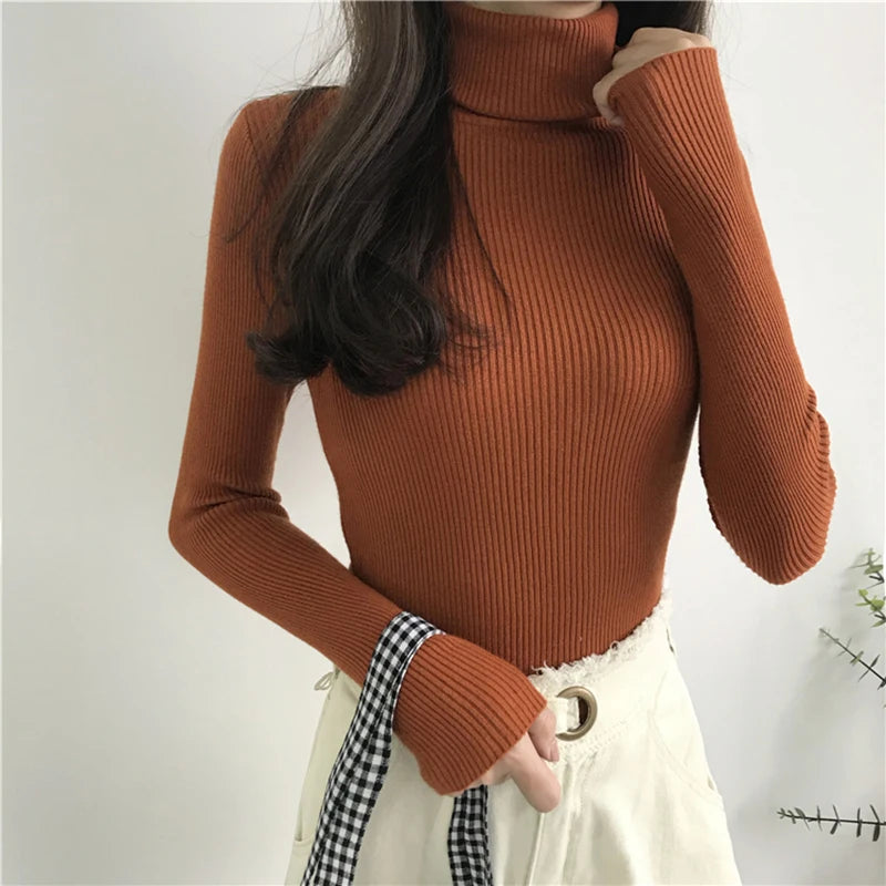 Women's Slim Fit Turtleneck Sweater