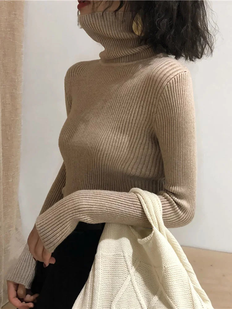 Women's Slim Fit Turtleneck Sweater