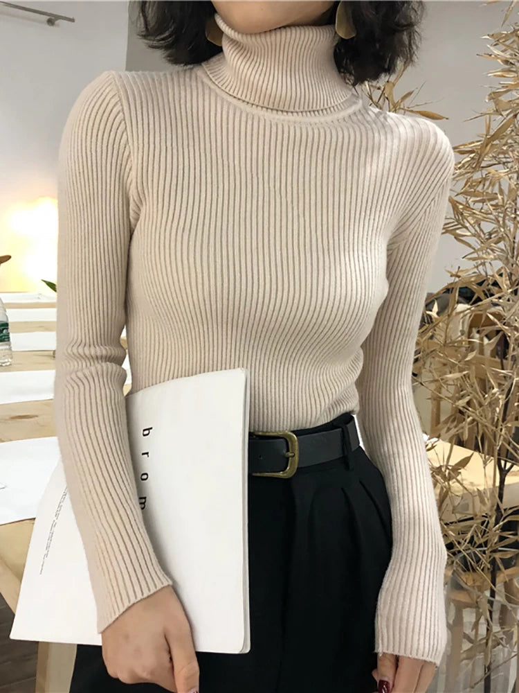 Women's Slim Fit Turtleneck Sweater