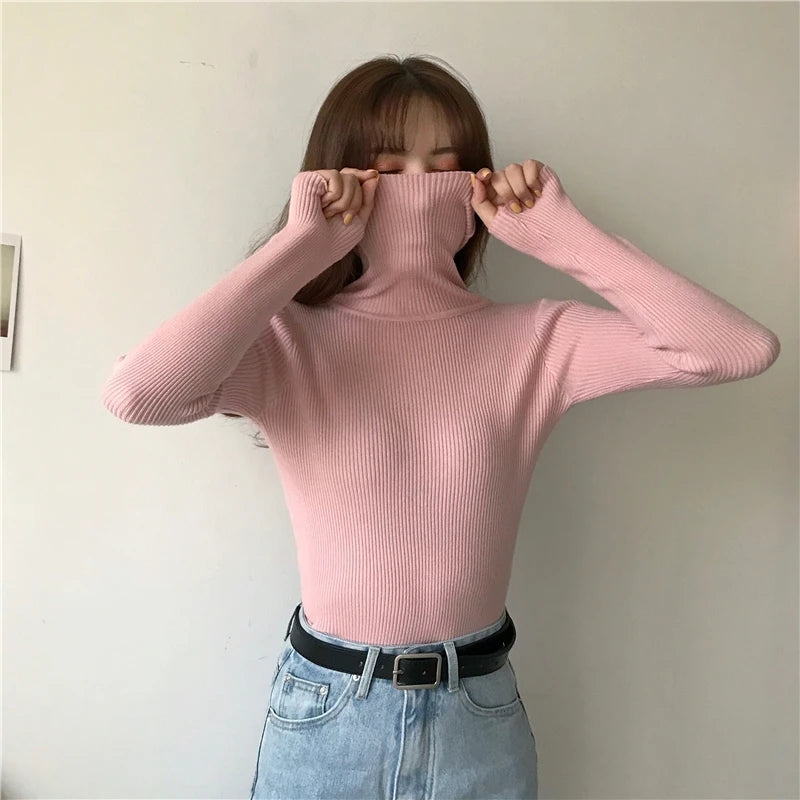 Women's Soft Turtleneck Sweater