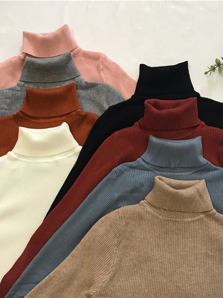 Women's Slim Fit Turtleneck Sweater