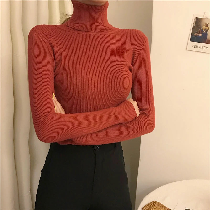 Women's Soft Turtleneck Sweater