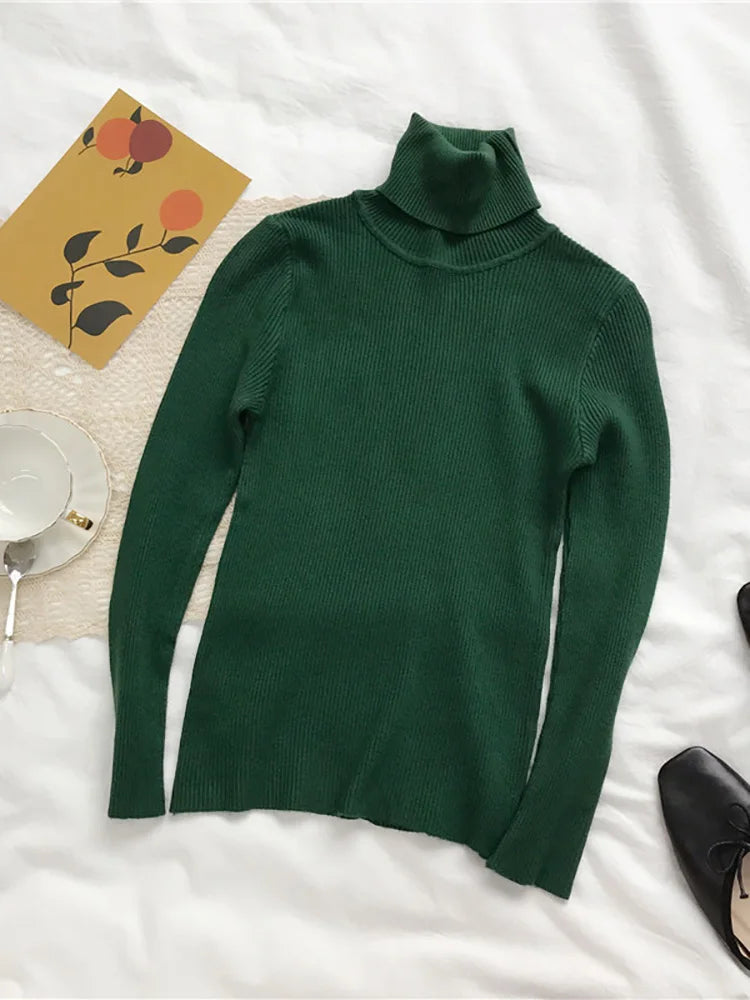 Women's Slim Fit Turtleneck Sweater