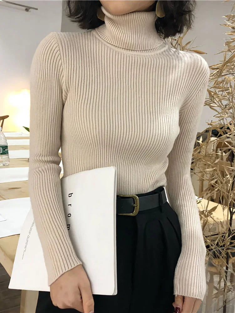 Women's Slim Fit Turtleneck Sweater