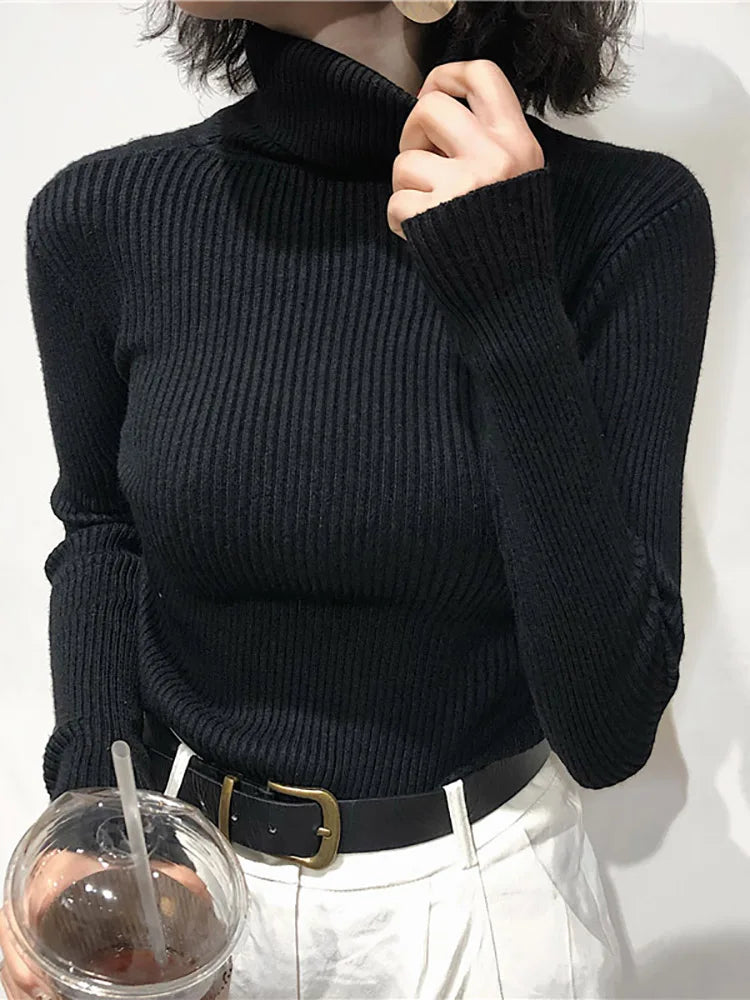 Women's Slim Fit Turtleneck Sweater