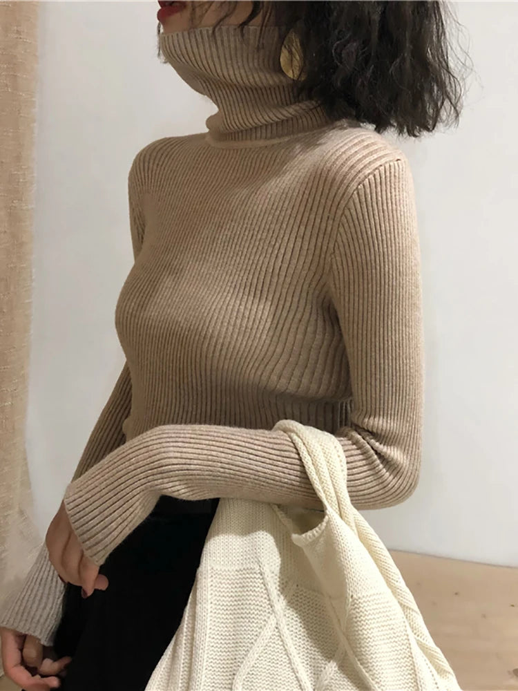 Women's Slim Fit Turtleneck Sweater