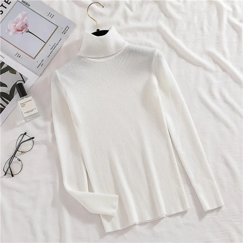 Women's Soft Turtleneck Sweater