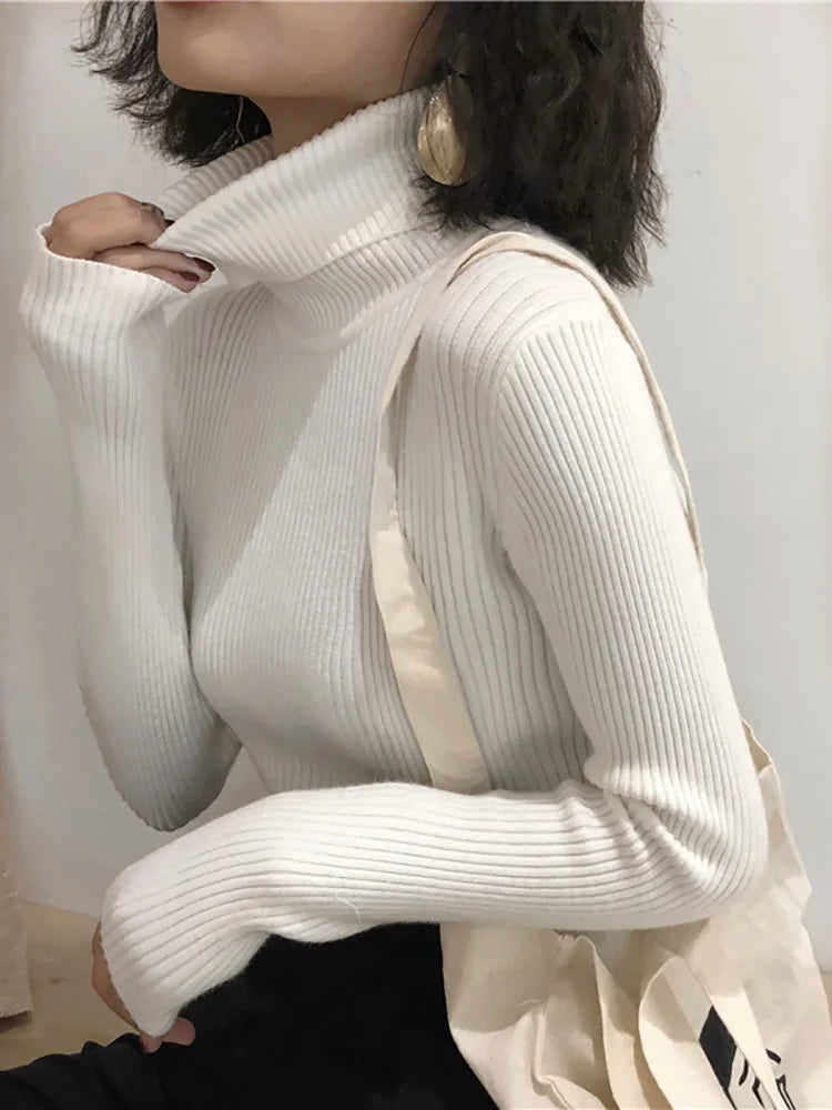 Women's Slim Fit Turtleneck Sweater