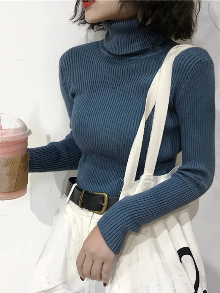 Women's Slim Fit Turtleneck Sweater