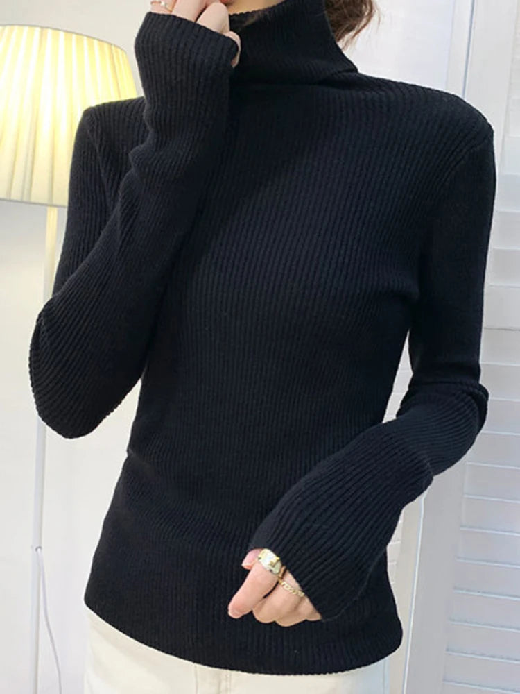 Women's Soft Turtleneck Sweater