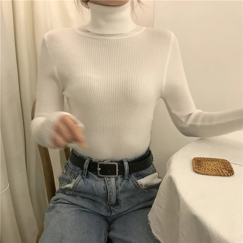 Women's Soft Turtleneck Sweater