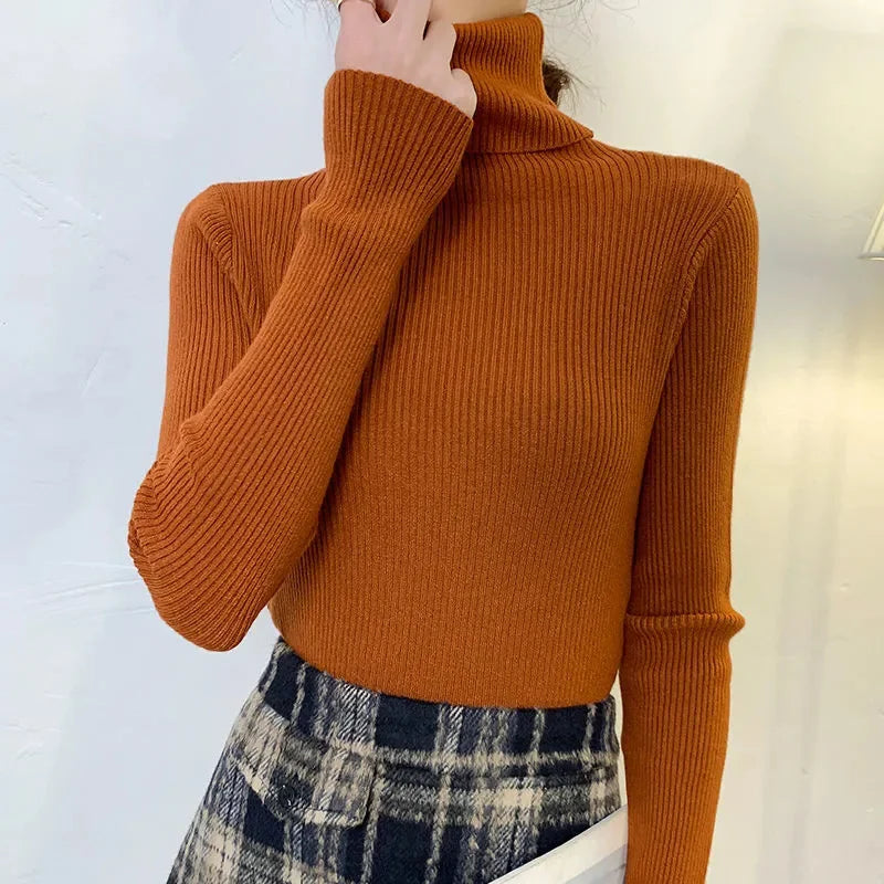 Women's Soft Turtleneck Sweater