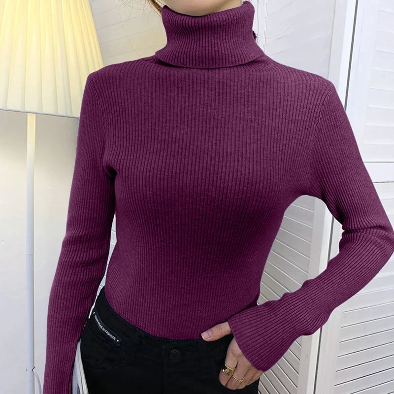 Women's Soft Turtleneck Sweater