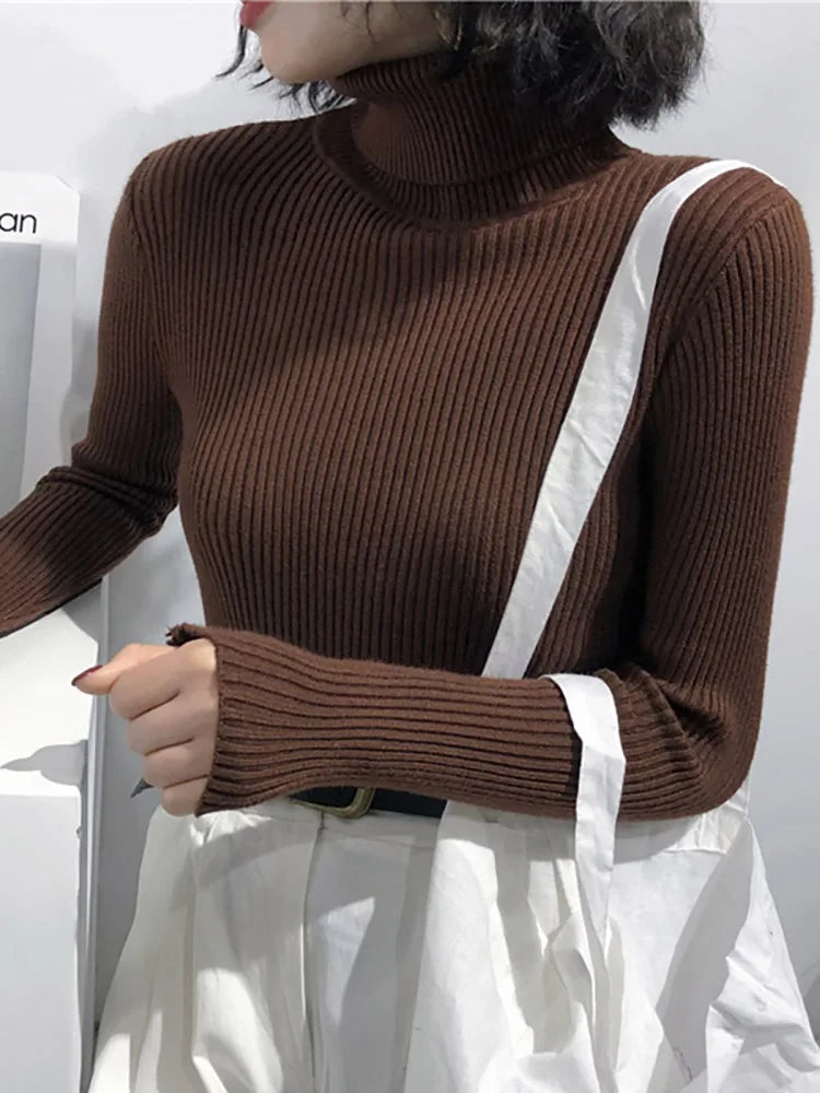 Women's Slim Fit Turtleneck Sweater
