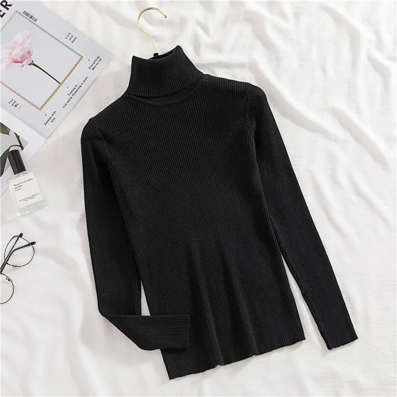 Women's Soft Turtleneck Sweater